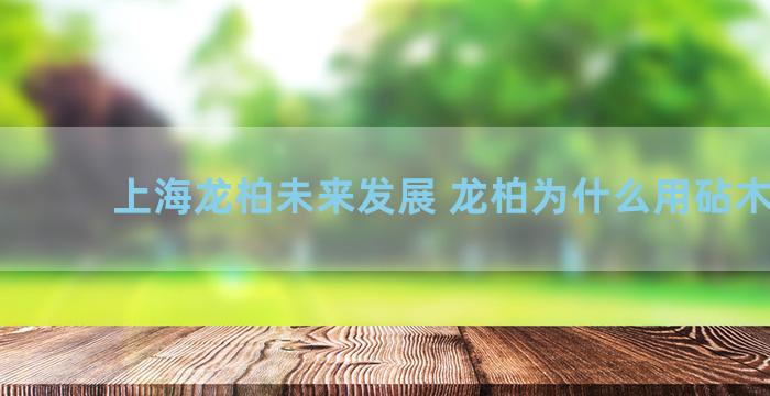 上海龙柏未来发展 龙柏为什么用砧木嫁接